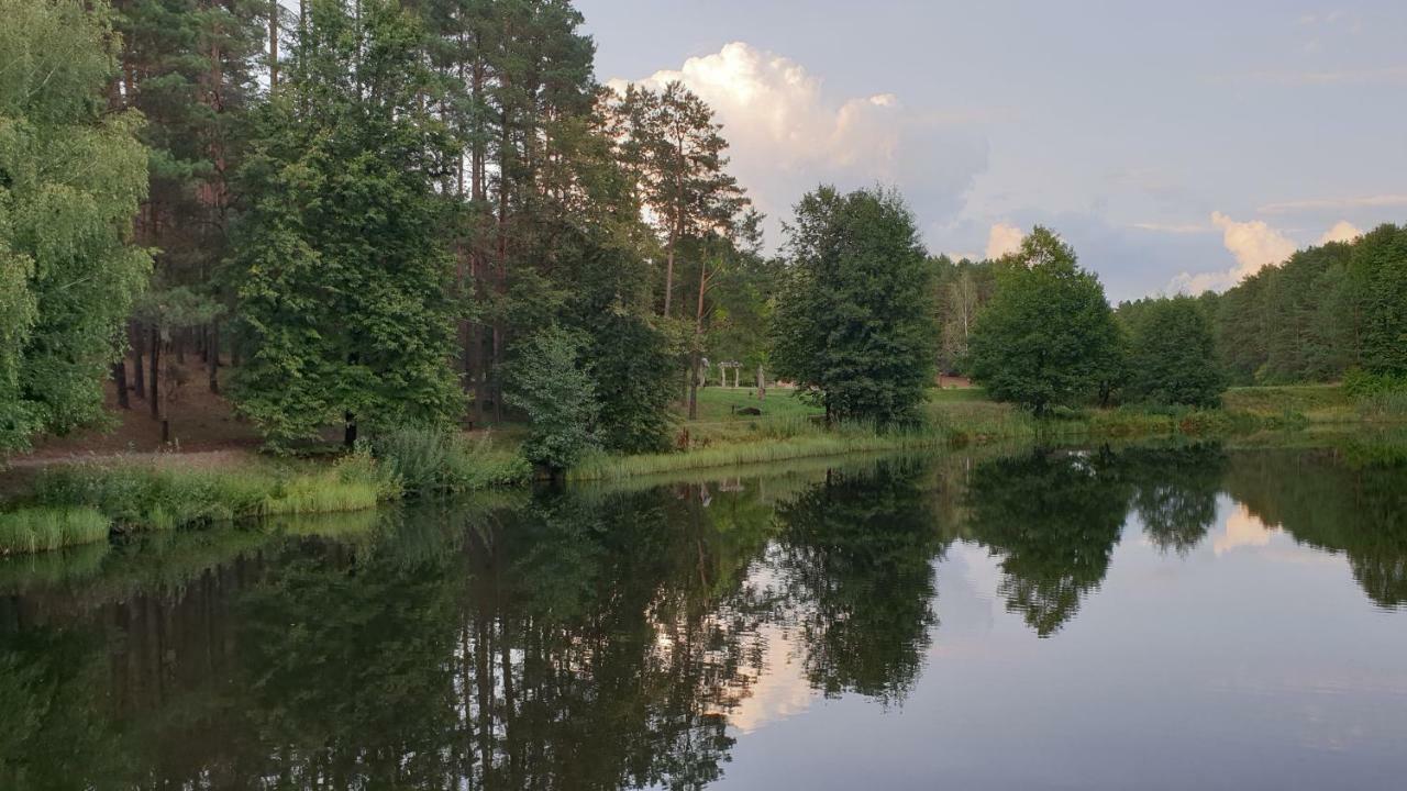 Garden Studio By The Lake With Air-Con And Infrasauna Druskininkai Extérieur photo